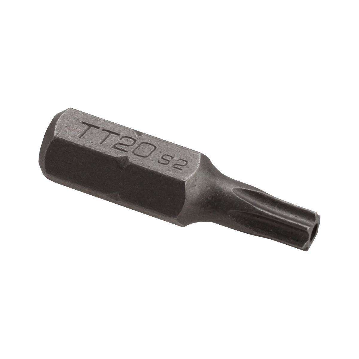 Elkay Accessory - Vandal-Resistant Pinned T27 Torx Bit 75523C