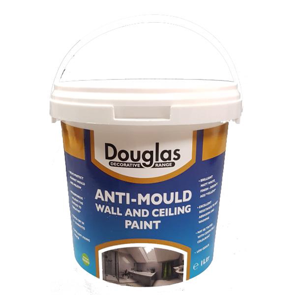 Anti Mould Paint 1L - Default