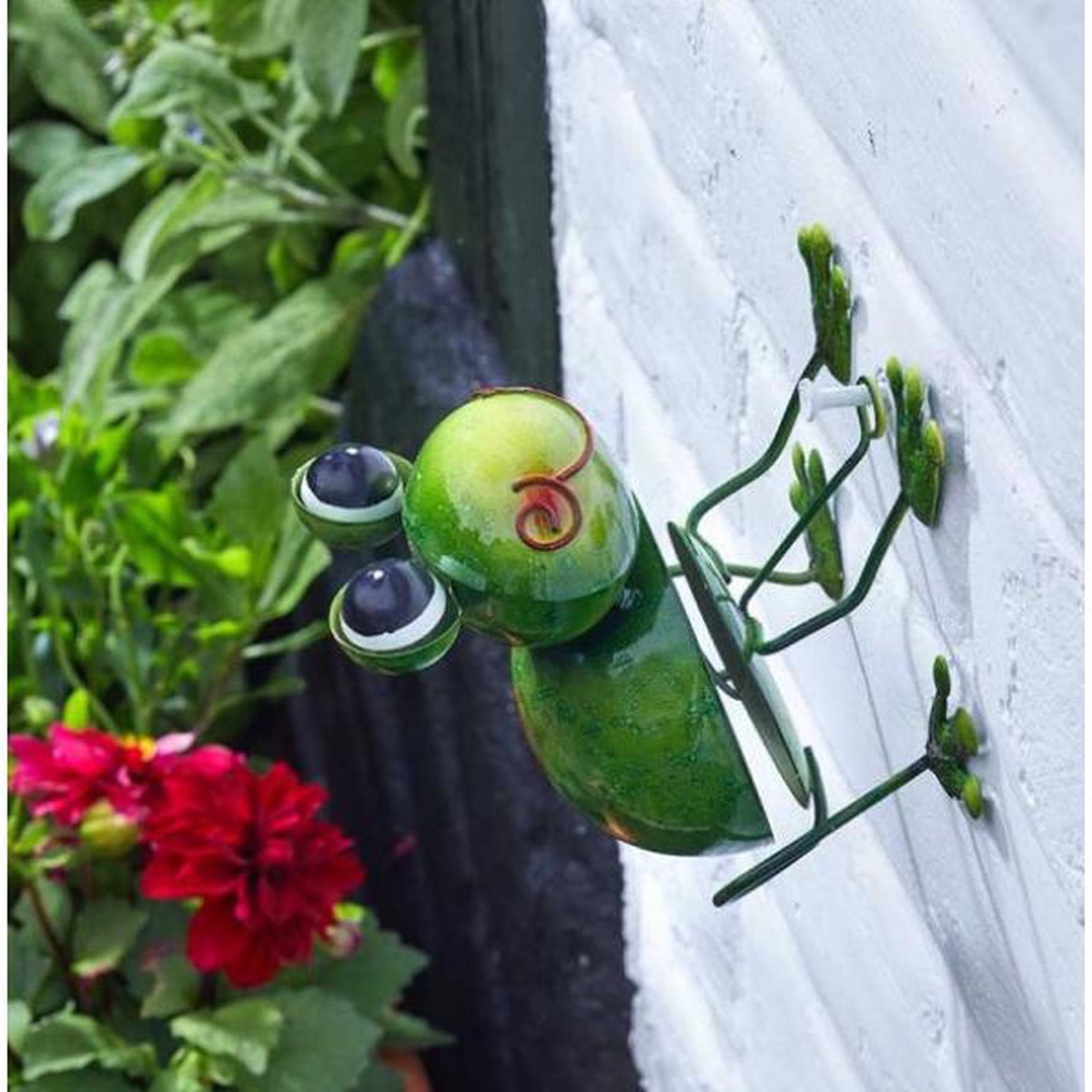 Smart Garden Dcor Hangers On Funkee Frog - Medium - Default